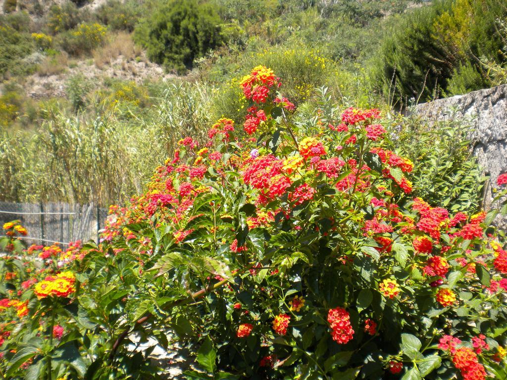 Apartamento Casa U' Cucunciu Lipari  Habitación foto
